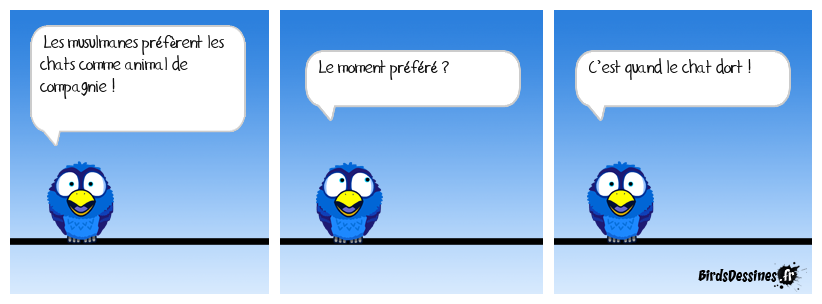 Levons le voile !