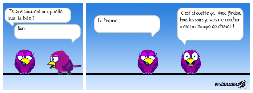 Elles sont dingues ces nanas....