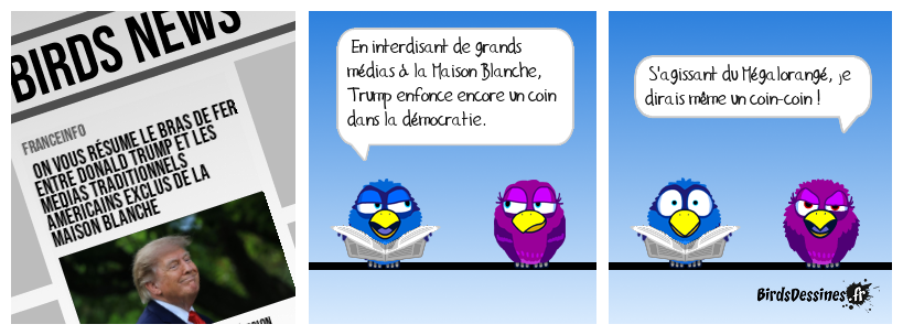 Le Mégalorangé enfonce un coin-coin dans la démocratie !