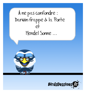 En espèce ...