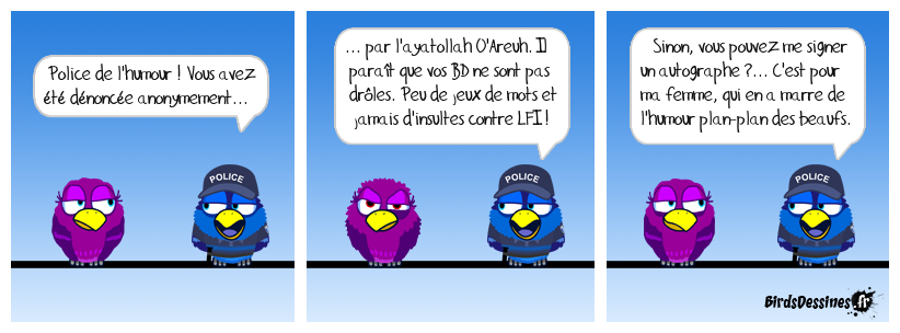 Chroniques de la police de l'humour
