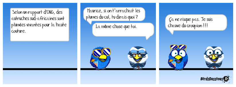 Ouille !