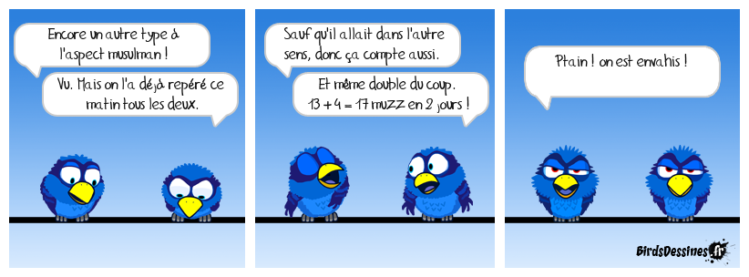 L'Observatoire du Grand Remplacement pour les Nuls 2
