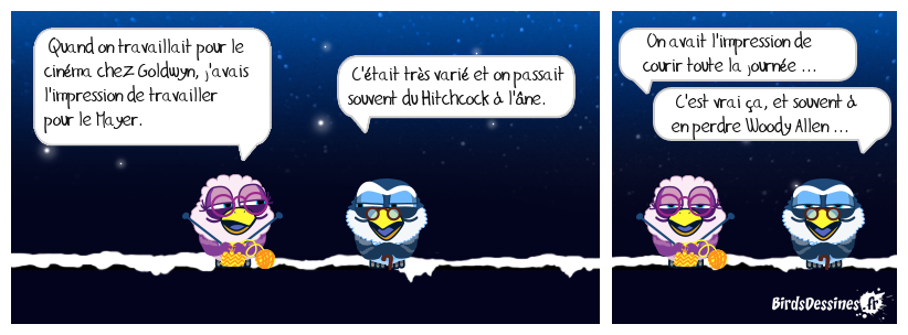 cinéma de mes nuits ...