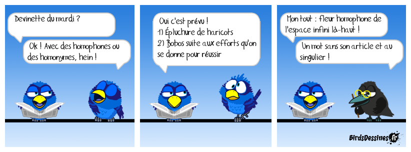 Devinette du mardi, pardi !