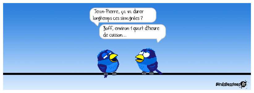 6 magrets de canard