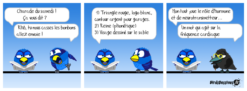 Charade du soir, Bonsoir !