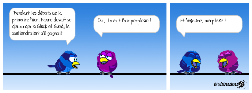 Le perplexe et la merplexe !