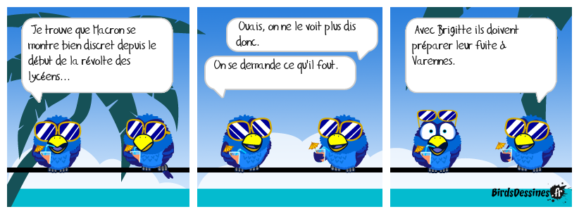 Il y a longtemps que je dis que ça va mal finir....