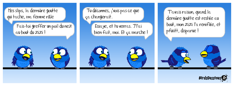 Et pis, c'est tout simplement.