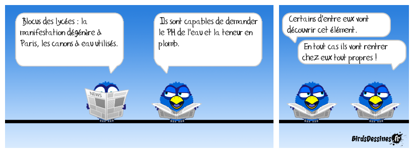Demain ils vont mettre des cirés bretons
