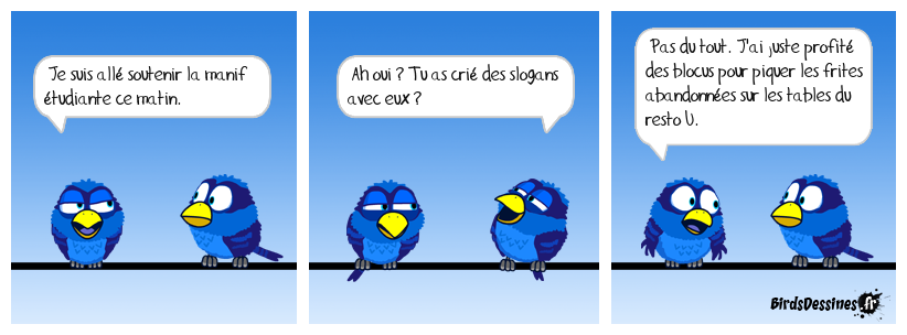 L'art de la contestation