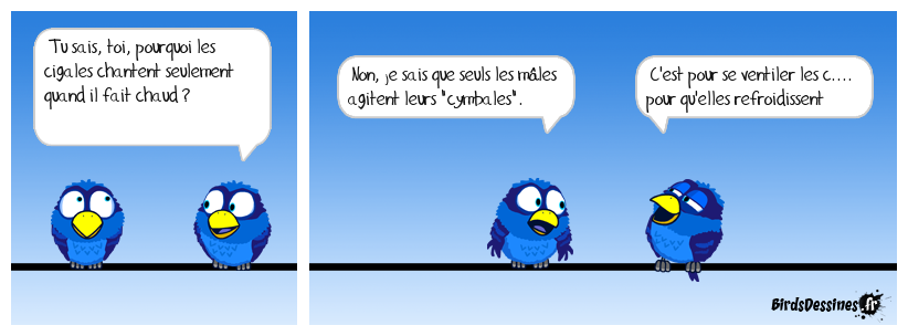 Le chant des cigales dans le sud !