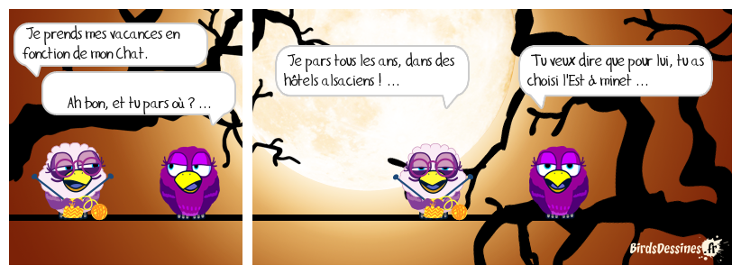 Chat alors ? ....