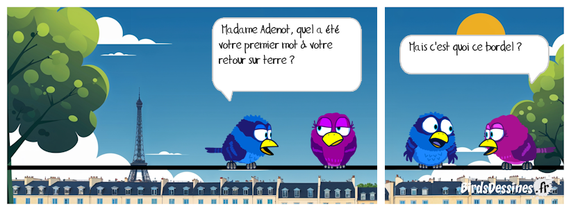 ☺ Retour de l'espace ☺☺