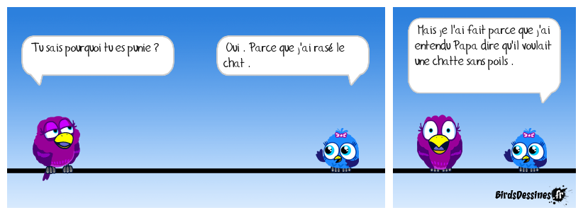 Un malentendu au poil