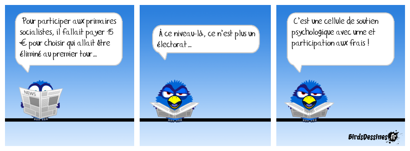 15 € la séance chez les socialistes