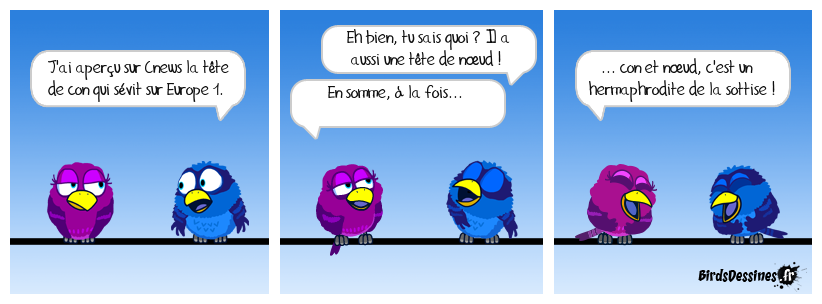 C'est lequel ? C'est lequel ?