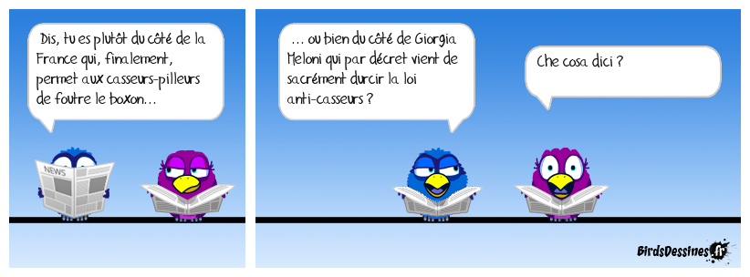 Beaucoup se cherchent des racines italiennes !