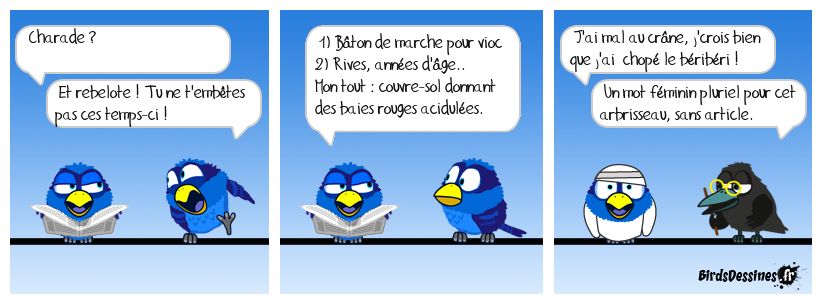 Charade du jour, Bonjour !