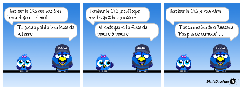 Quand les affrontements entre CRS et manifestantes inspirent la dark romance