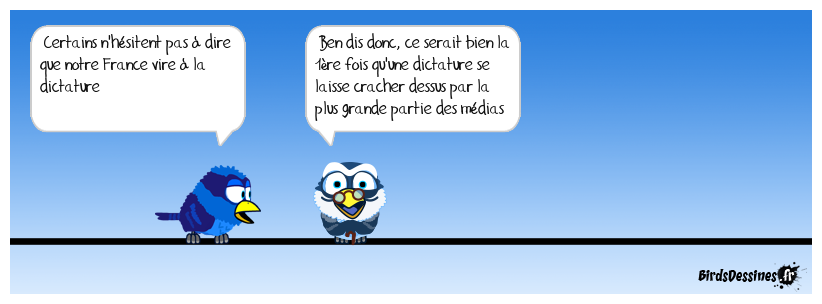Les médias ont un gros os à ronger !