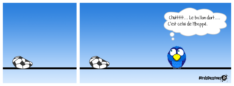 Quand on a le melon à la place du ballon......