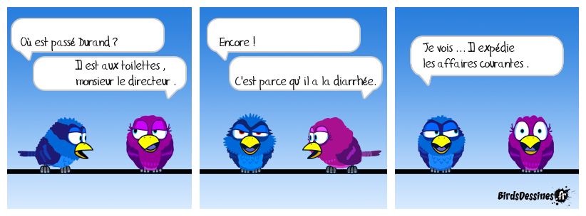 ça coule de source