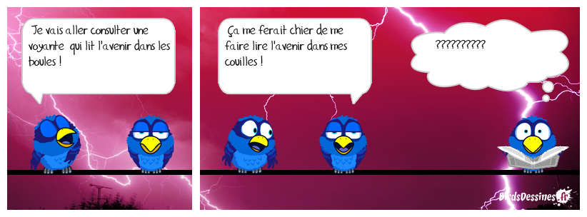 ☺ Il y a boules et boules ☺☺