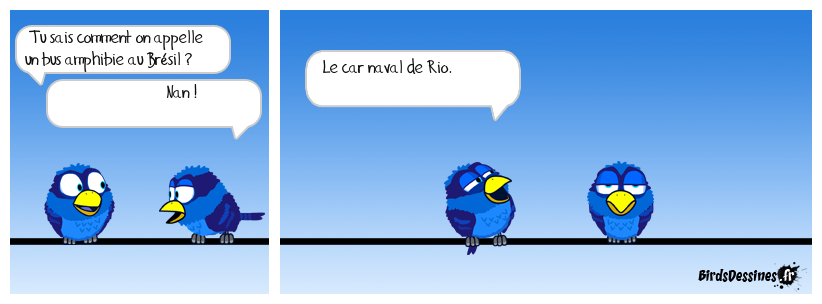 Petite connerie brésilienne.