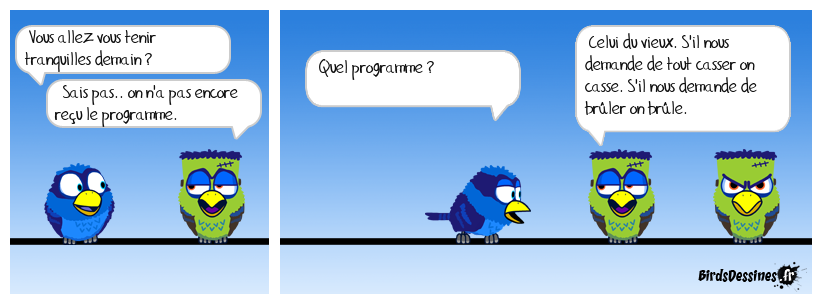 Les blacks block sont prêts...
