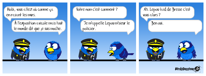 Même pas beau !